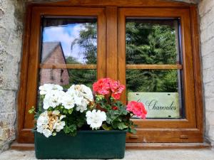een raam met een pot bloemen voor een raam bij Gite Les Chavautes - in Ciney