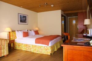 Pokój hotelowy z łóżkiem i biurkiem w obiekcie Hotel Silberhorn - Residences & Spa Wengen w mieście Wengen