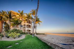 a building on the beach with palm trees and the ocean at Entire Beachfront condo in Paradise in San José del Cabo