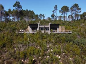 a house on top of a hill with trees at Cliffside Suites in Plettenberg Bay
