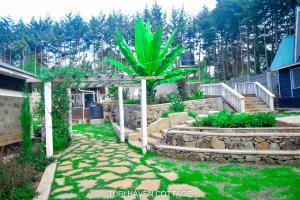 a garden with a palm tree and a stone walkway at TURI HAVEN COTTAGE in Molo