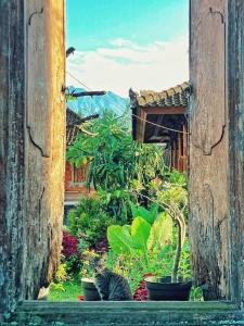an open window with potted plants in a garden at Hause market in Sidemen
