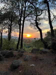 a sunset from the top of a hill with trees at Prakriti Aalay - Riverside Mountain View Boutique Eco Resort in Dharamshala