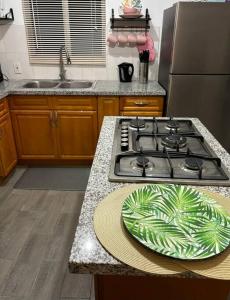 a kitchen with a green plate on a stove at Rae of Sunshine Villas in Hartswell