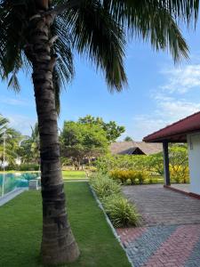 a palm tree in front of a house at NN Beach Resort & SPA in Nilaveli