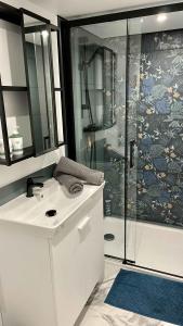 un baño con lavabo y ducha en Appartement au calme dans le quartier historique pour 4 personnes avec espace extérieur, en Pau 26 fotos más