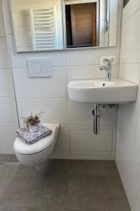 La salle de bains est pourvue d'un lavabo, de toilettes et d'un miroir. dans l'établissement Ferienwohnpark Immenstaad am Bodensee Nurdachhaus Typ 7 ND 56, à Immenstaad am Bodensee