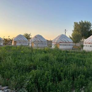 a group of domes in a field of grass at KARAKALPAK ETNO VILLAGE in Nukus