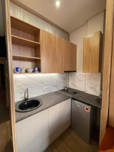 a small kitchen with a sink and a dishwasher at Aygestan plaza apartment 5 in Yerevan