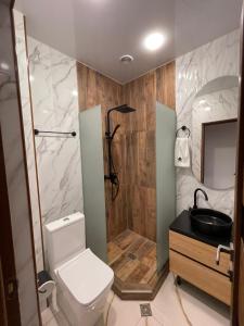 a bathroom with a toilet and a shower and a sink at Aygestan plaza apartment 5 in Yerevan