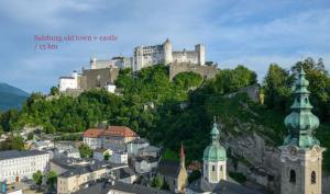 Příroda nedaleko apartmánu