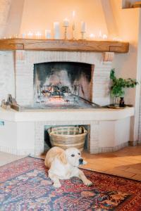 a dog laying on the floor in front of a fireplace at Agriturismo Il Conte Vassallo in Miane