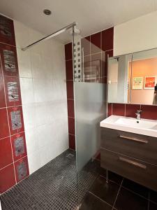 a bathroom with a sink and a shower at Maison 4pers terrasse wifi parking in Talence