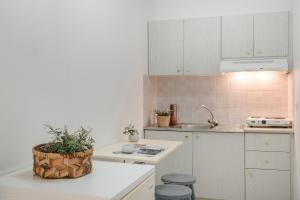 a kitchen with white cabinets and a plant on the counter at Evianna Studios in Mousata