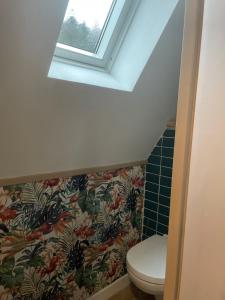 a bathroom with a toilet under a skylight at Moulin de brezal et étang à 20 minute de la mer in Plounéventer +21 photos