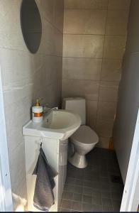 a small bathroom with a sink and a toilet at Hede suvemajad/summer houses in Pärnu