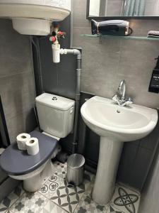 a small bathroom with a toilet and a sink at Charmante maisonnette cosy près de Paris in Deuil-la-Barre