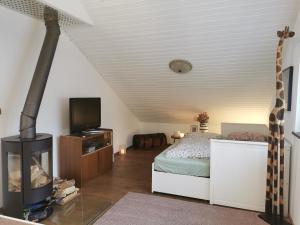 a bedroom with a bed and a tv in a room at Wohnung in idyllischem Örtchen in Meschede