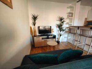 a living room with a couch and a flat screen tv at Terrasse & Spa dans Aix Hypercentre in Aix-en-Provence