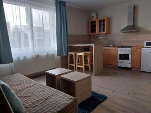 a living room with a couch and a kitchen at Apartments Lafranconi in Bratislava