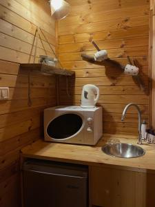 a kitchen counter with a microwave and a sink at בוסתן החורש- חיפה 