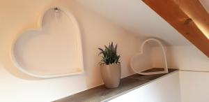 a potted plant sitting on a shelf in a room at Ferienhaus Pappenheimer in Regen