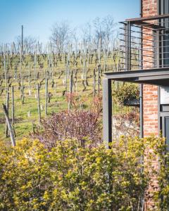 Billede fra billedgalleriet på Arborina Relais i La Morra