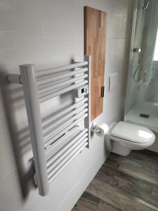 Logement avec accès terrasse في Mazières-en-Gâtine: حمام مع مرحاض أبيض ودش