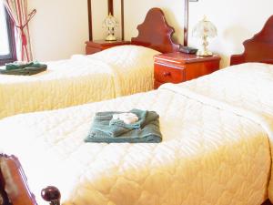 a bedroom with two beds with a baby sleeping on the bed at Sylvania Park in Horsham