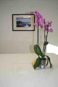 Saint-PompontGîte Le Maine Libre* SPA* Calme et authenticité的相册照片
