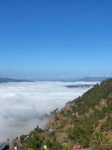 Fotografie z fotogalerie ubytování The Hill Paradise v destinaci Almora