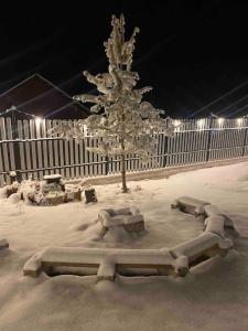 een met sneeuw bedekte boom voor een hek bij Домик в горах in Besqaynar