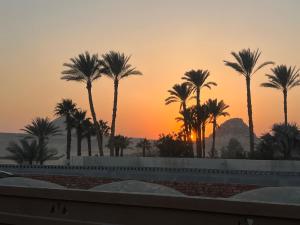 a sunset over a pool with palm trees at peace house in Cairo