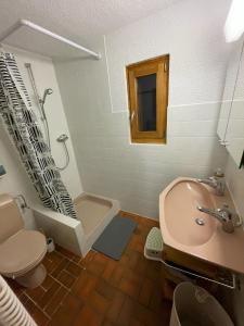 uma casa de banho com um lavatório, um WC e uma banheira em Chalet traditionnel Haute Nendaz em Nendaz