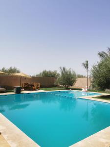 une grande piscine d'eau bleue dans l'établissement Villa Baraka, à Marrakech
