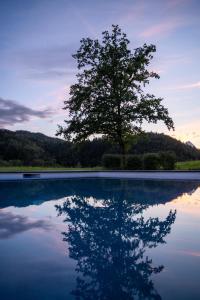 Φωτογραφία από το άλμπουμ του Villa Bergzauber σε Rossleithen