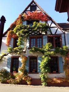 a white building with plants on the side of it at Im Alten Kaufhaus in Rhodt unter Rietburg