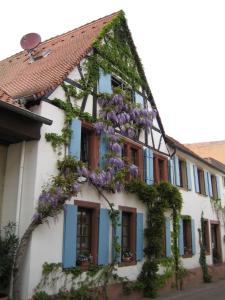 a building with wisteria on the side of it at Im Alten Kaufhaus in Rhodt unter Rietburg