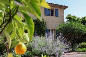 una casa con una ventana azul y algunas plantas en Domaine du Moulin de Villefranche en Pernes-les-Fontaines