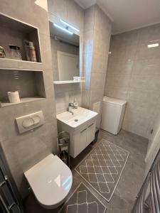 een badkamer met een witte wastafel en een toilet bij Apartman Felicita in Sarajevo