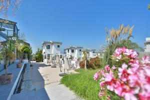a sidewalk with pink flowers in front of white houses at Skyline Paradise Villas in Kérynia