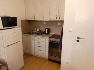 een kleine keuken met witte kasten en een koelkast bij Apartmán U řeky in Otrokovice