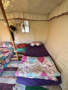 a small room with a bed in a tent at Muhra Camp Siwa in Siwa