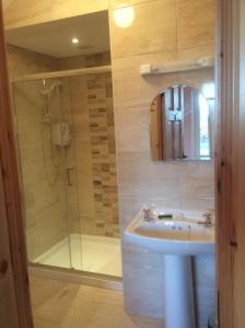 a bathroom with a sink and a shower at Castle Ivy Lodge in Cashel