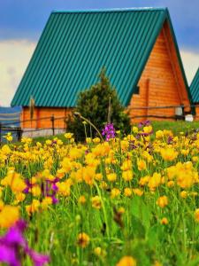 a field of flowers in front of a church at Ethno village Molitva in Družiniće