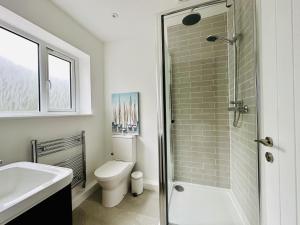 a bathroom with a shower and a toilet and a sink at Bromholme Cottage Bacton - Sleeps 10, hot tub, close to beach in Bacton