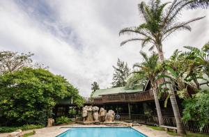 a house with a swimming pool and a palm tree at Tsitsikamma Lodge & Spa in Stormsrivier