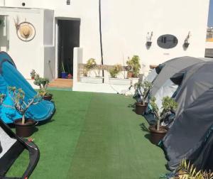 una fila di tende su un prato con piante in vaso di Urban rest zone and coworking ad Arrecife
