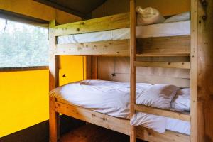 a couple of bunk beds in a room at Oak in Honiton