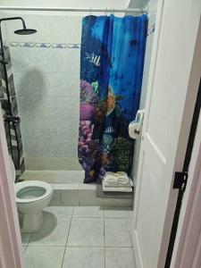 ein Bad mit einem WC und einem Duschvorhang in der Unterkunft Hermosa Suites #9 in the heart of PUNTA CANA in Punta Cana